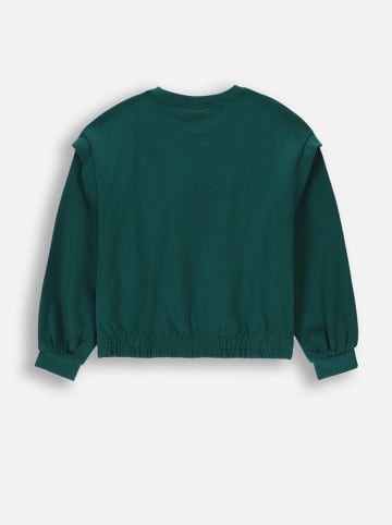 Coccodrillo Sweatshirt in Grün