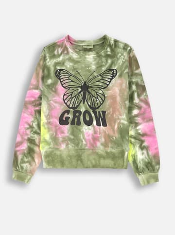 Coccodrillo Sweatshirt meerkleurig