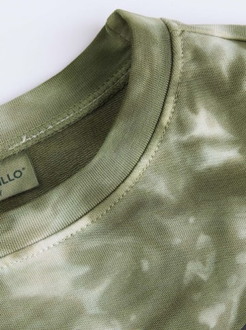 Coccodrillo Sweatshirt meerkleurig