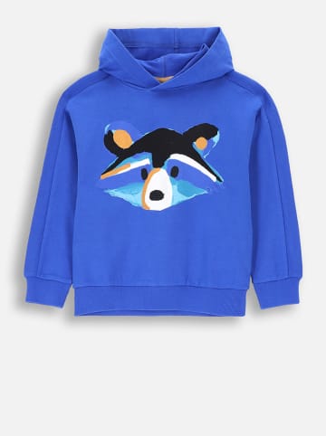 Coccodrillo Hoodie in Blau