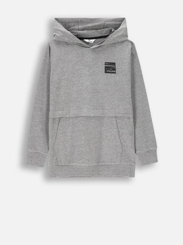 Coccodrillo Hoodie in Grau