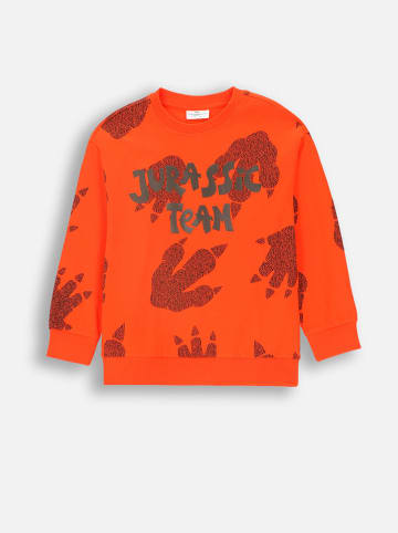Coccodrillo Sweatshirt in Orange