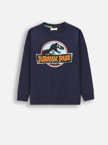 Coccodrillo Sweatshirt in Dunkelblau