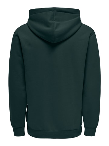 ONLY & SONS Hoodie "Ceres" in Smaragdgrün