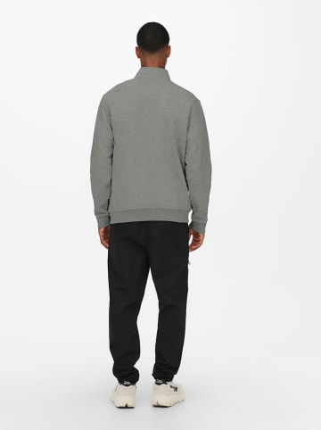 ONLY & SONS Sweatshirt "Ceres" in Grau
