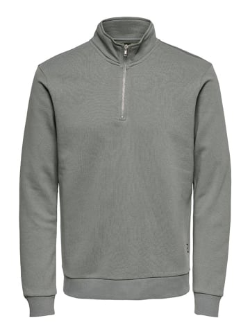 ONLY & SONS Sweatshirt "Ceres" in Grau