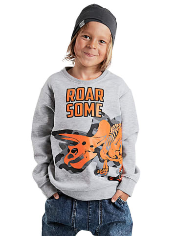Denokids Sweatshirt in Grau