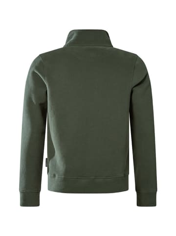 Pierre Cardin Pullover in Grün