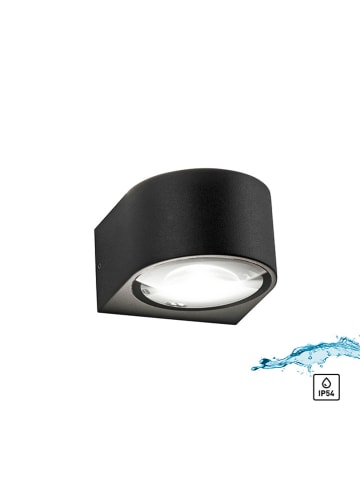 Paul Neuhaus Ledwandlamp zwart - (H)6,8 x Ø 11 cm