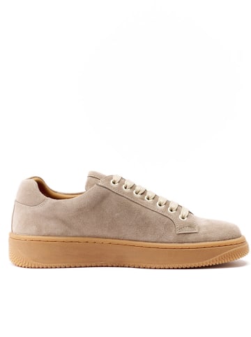 British Passport Leren sneakers taupe