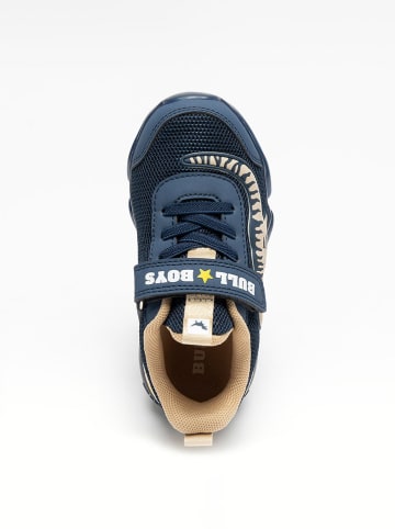 Bull Boys Sneakers "T-Rex" in Dunkelblau/ Beige