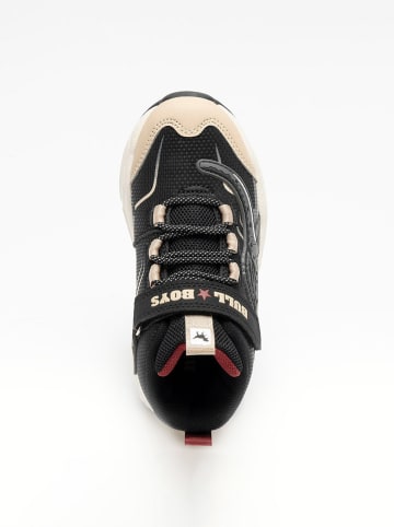 Bull Boys Sneakers "Spinosauro" in Schwarz/ Beige