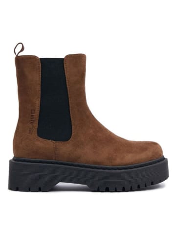 SAM73 Chelsea-Boots "Lacerta" in Braun