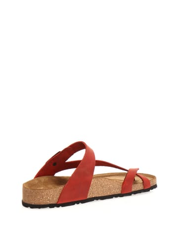 Leren teenslippers rood