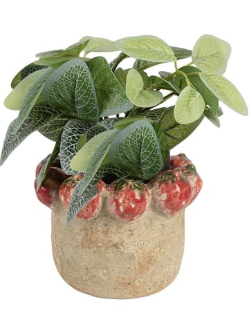 Clayre & Eef Doniczka w kolorze beżowo-czerwonym - wys. 15 x Ø 11 cm