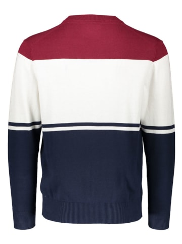 Pepe Jeans Pullover in Dunkelblau/ Bordeaux/ Weiß