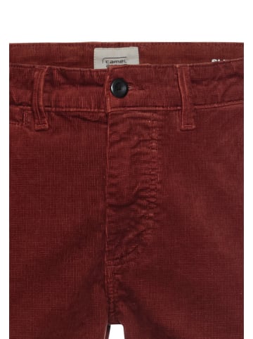 Camel Active Cordchino in Bordeaux