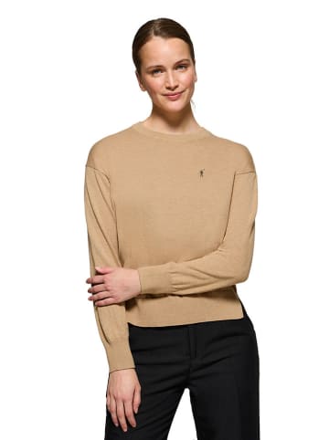 Polo Club Pullover in Beige