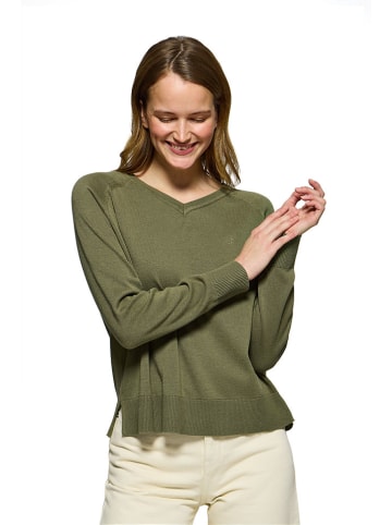 Polo Club Pullover in Oliv