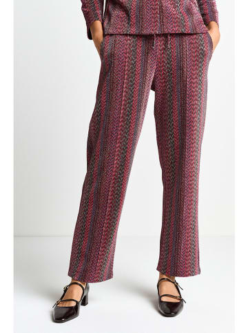 Rich & Royal Hose in Pink