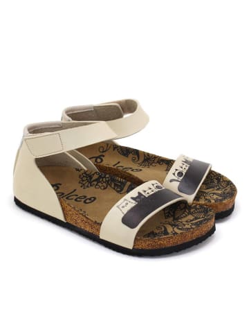 Calceo Sandalen in Beige/ Schwarz