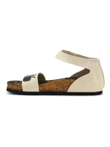 Calceo Sandalen beige/zwart