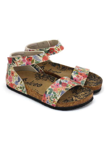 Calceo Sandalen in Bunt