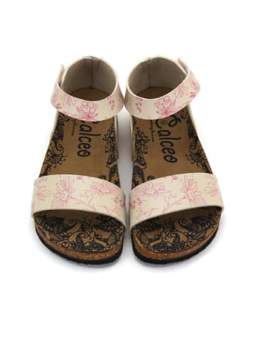 Calceo Sandalen beige/lichtroze