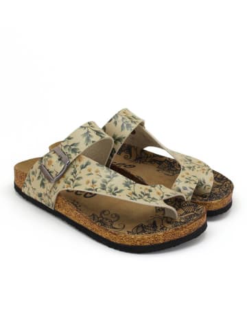 Calceo Teenslippers geel/groen