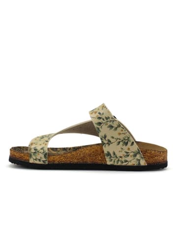 Calceo Teenslippers geel/groen