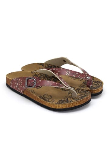 Calceo Teenslippers bordeaux