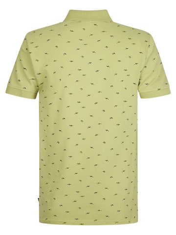 Petrol Industries Poloshirt "Palmview" in Hellgrün