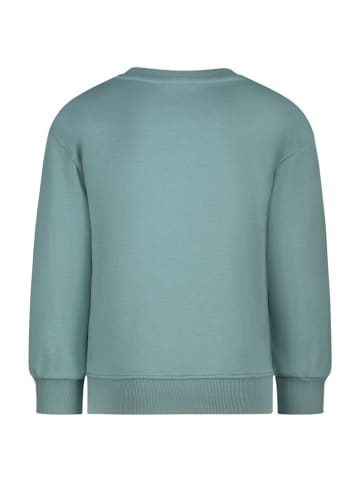 Salt and Pepper Sweatshirt in Grün