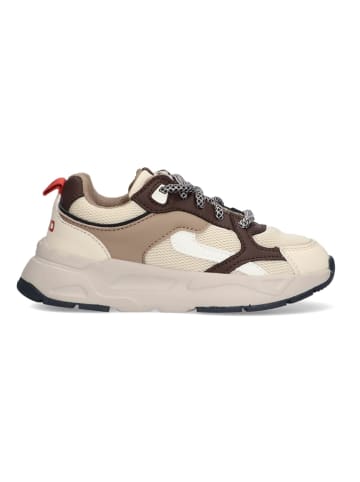 Vingino Sneakers in Beige/ Braun