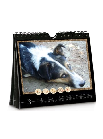 URSUS Wand- & Tischkalender in Schwarz