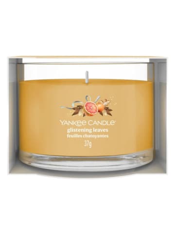 Yankee Candle Świeca zapachowa "Glistening Leaves" - 37 g