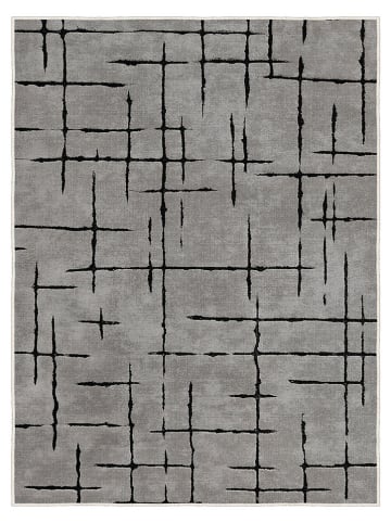 CARPET DIEM Dywan w kolorze szarym