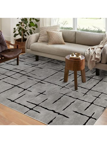 CARPET DIEM Dywan w kolorze szarym