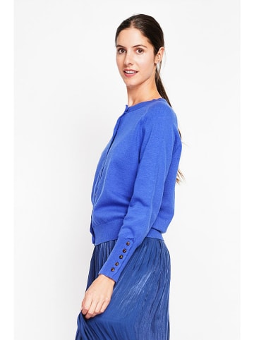 ASSUILI Vest blauw