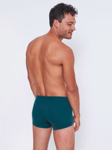 Sloggi 2er-Set: Boxershorts in Grau/ Blau