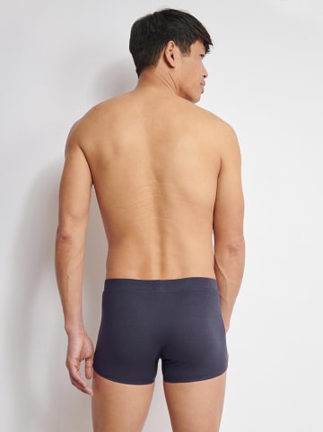 Sloggi 2er-Set: Boxershorts in Hellblau/ Dunkelblau