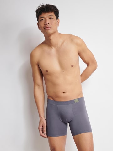 Sloggi 2er-Set: Boxershorts in Hellblau/ Dunkelblau