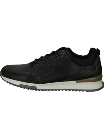 Bullboxer Leder-Sneakers in Schwarz