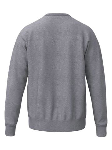 erima Sweatshirt grijs