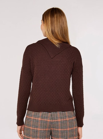 Apricot Rollkragenpullover in Dunkelbraun