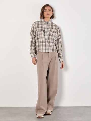 Apricot Blouse beige/wit