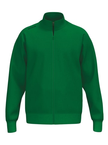 erima Sweatjacke in Grün