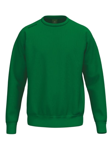 erima Sweatshirt in Grün