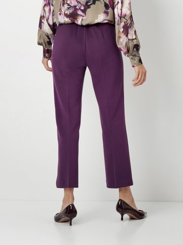 Toni Hose "Jenny" in Pflaume