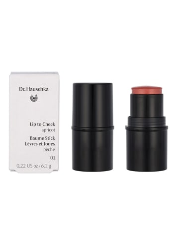DR. HAUSCHKA 2-in-1 lippenstift & rouge "Lip to Cheeck - 01 Apricot'', 6,1 g